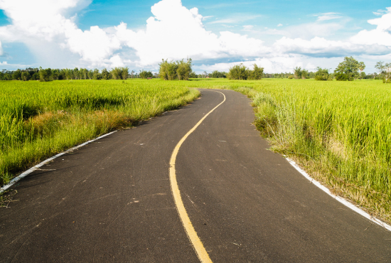 Failure to Yield Right of Way