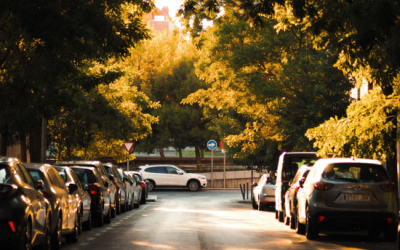 Tree-lined street with parked cars, illustrating a common urban driving environment relevant for road test preparation in New York.
