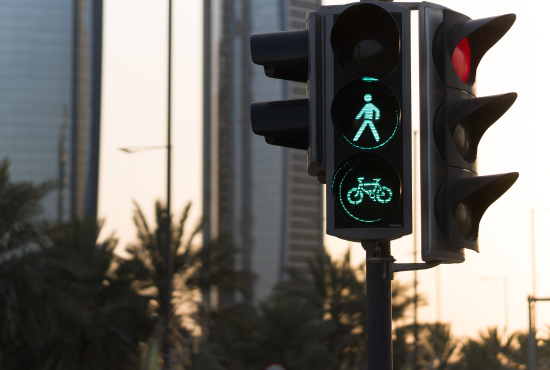 Vehicle Lighting and Signal Inspection