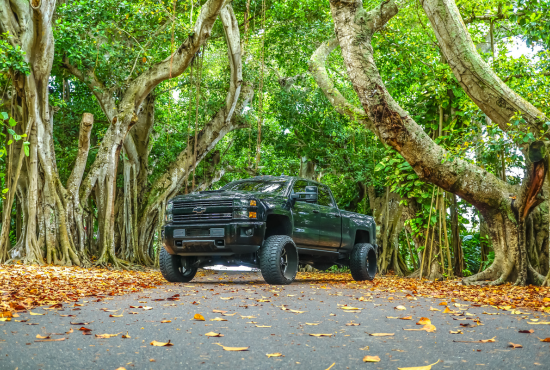 Renewing Your Driving License Process