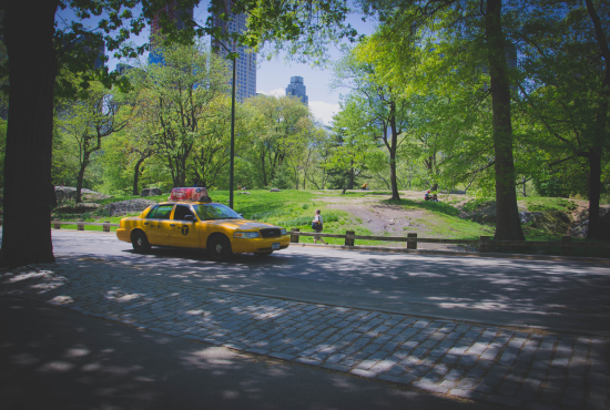 Sample Road Test Questions by State