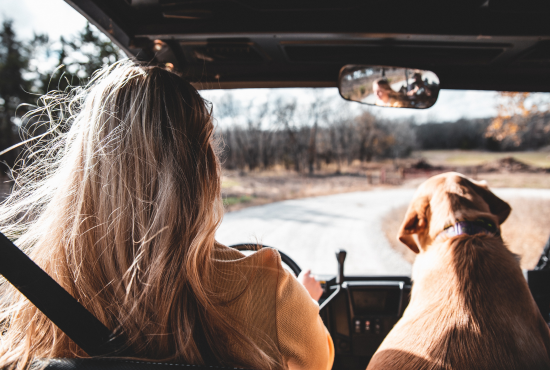 Changes to License Application Rules