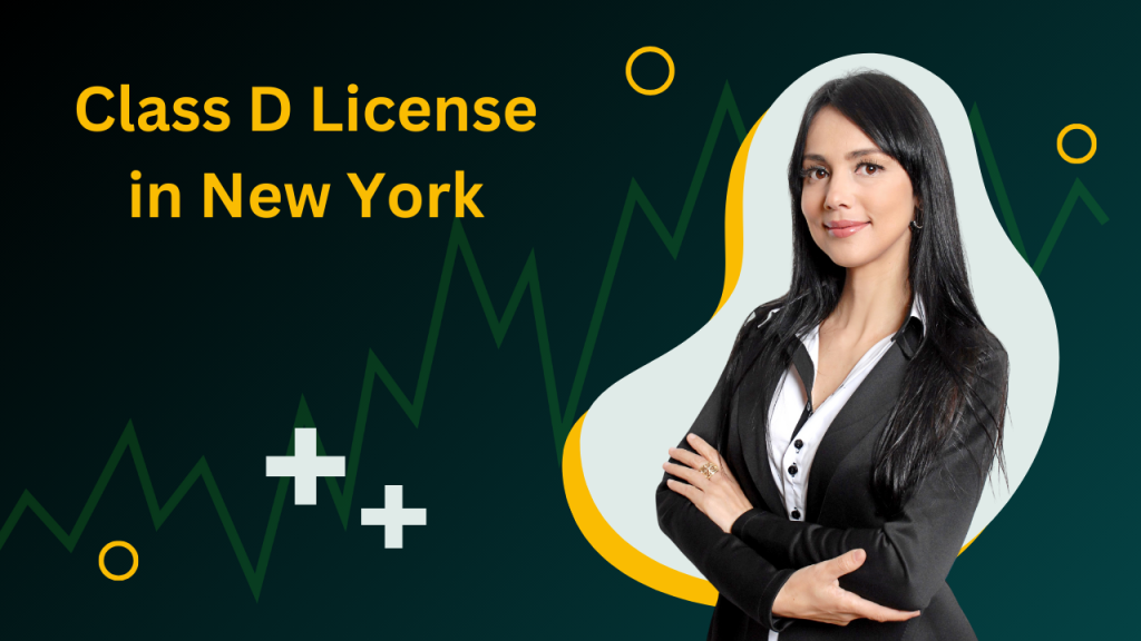 Class D License in New York